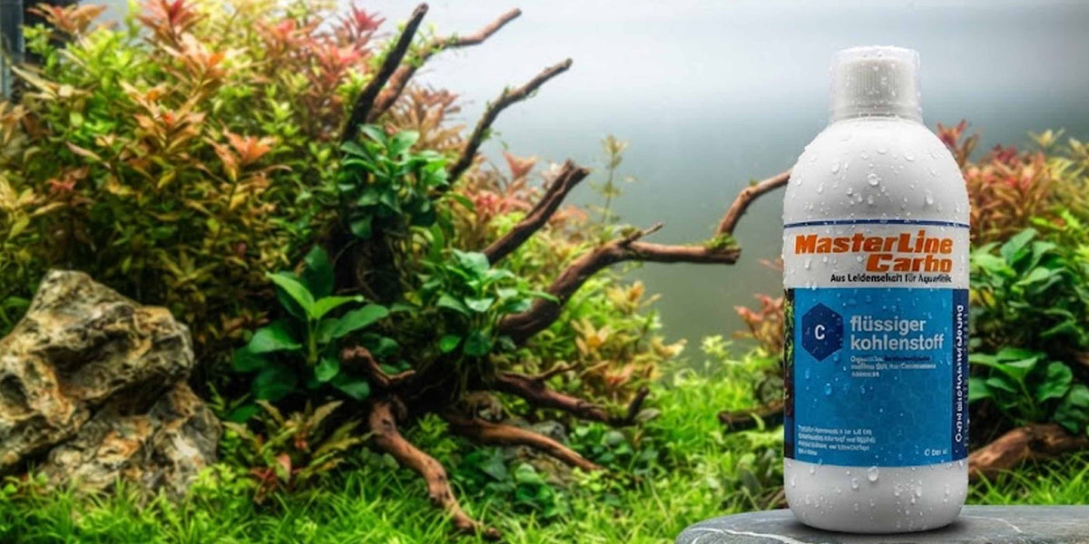MasterLine Carbo Flasche vor einem bepflanzten Aquarium