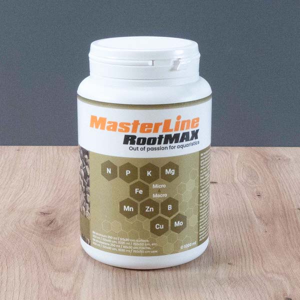 Masterline-Duengertabletten_unter_Kies