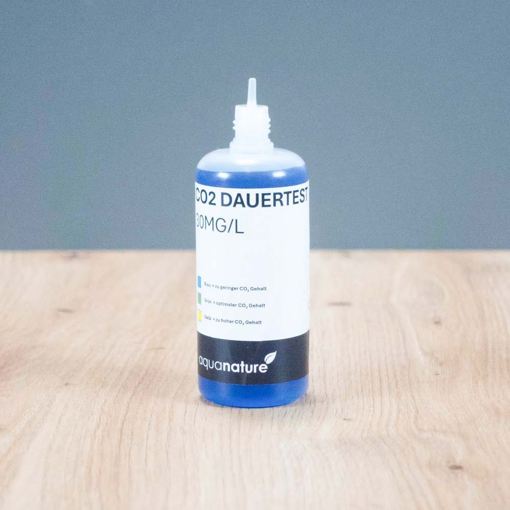 co2-dauertest-aquarium