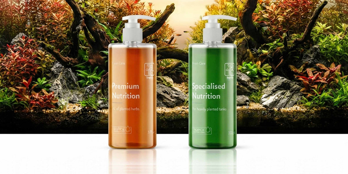 Tropica Premium Nutrition und Specialised Nutrition vor einem bepflanzten Aquascape