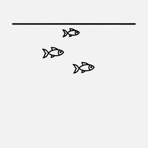 Nano & Jungfische
