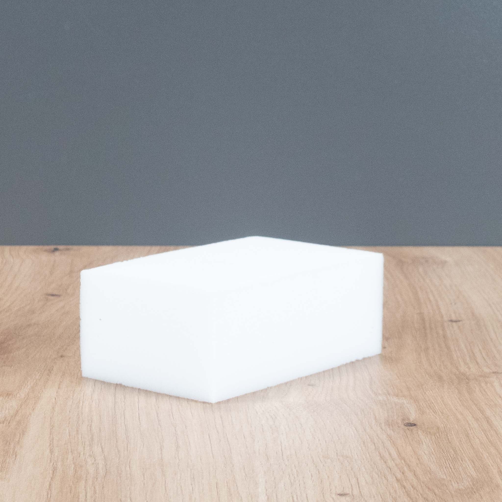 Aquanature Algenschwamm - Scheibenreiniger für Aquarium