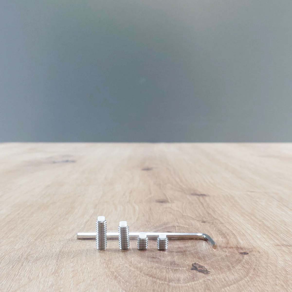 Ersatzschrauben Aquarium - für Edelstahl Inflow Halter