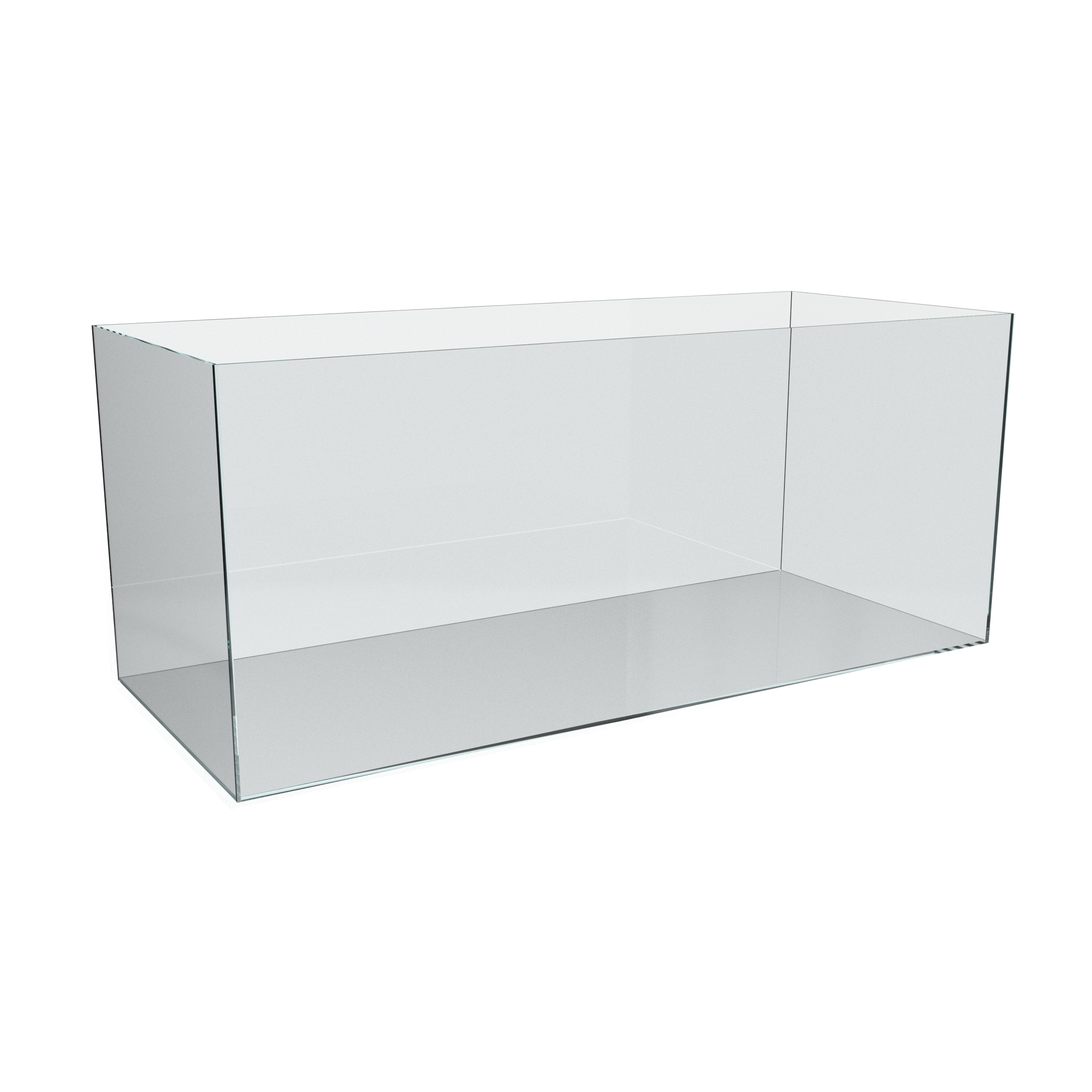 Aquascaping-Aquarium-120cmx50cm-Ansicht-von-vorne