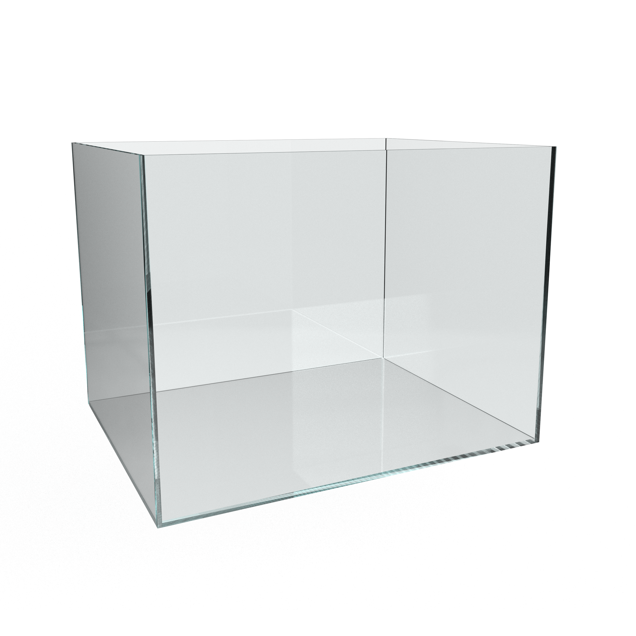Aquascaping-Aquarium-45cmx36cm-Ansicht-von-vorne