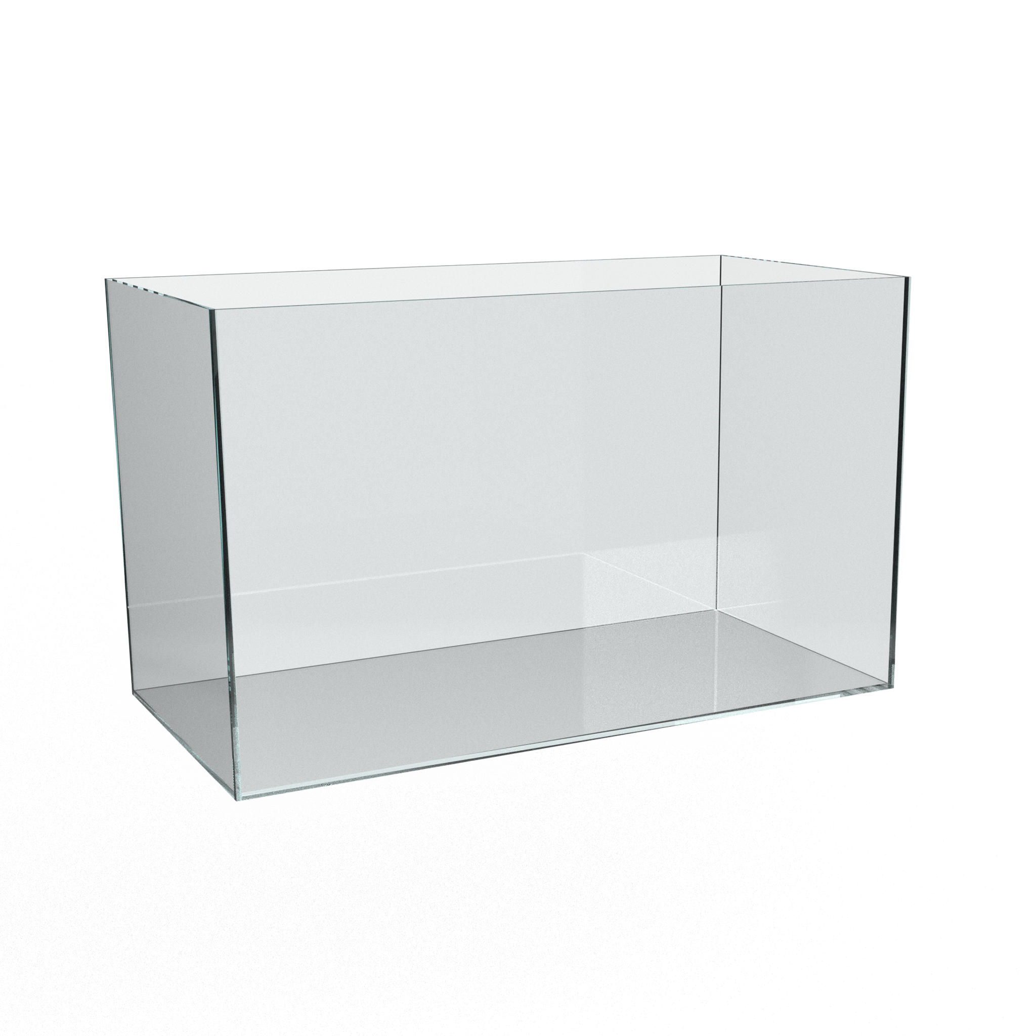 Aquascaping-Aquarium-60cmx30cm-Ansicht-von-vorne