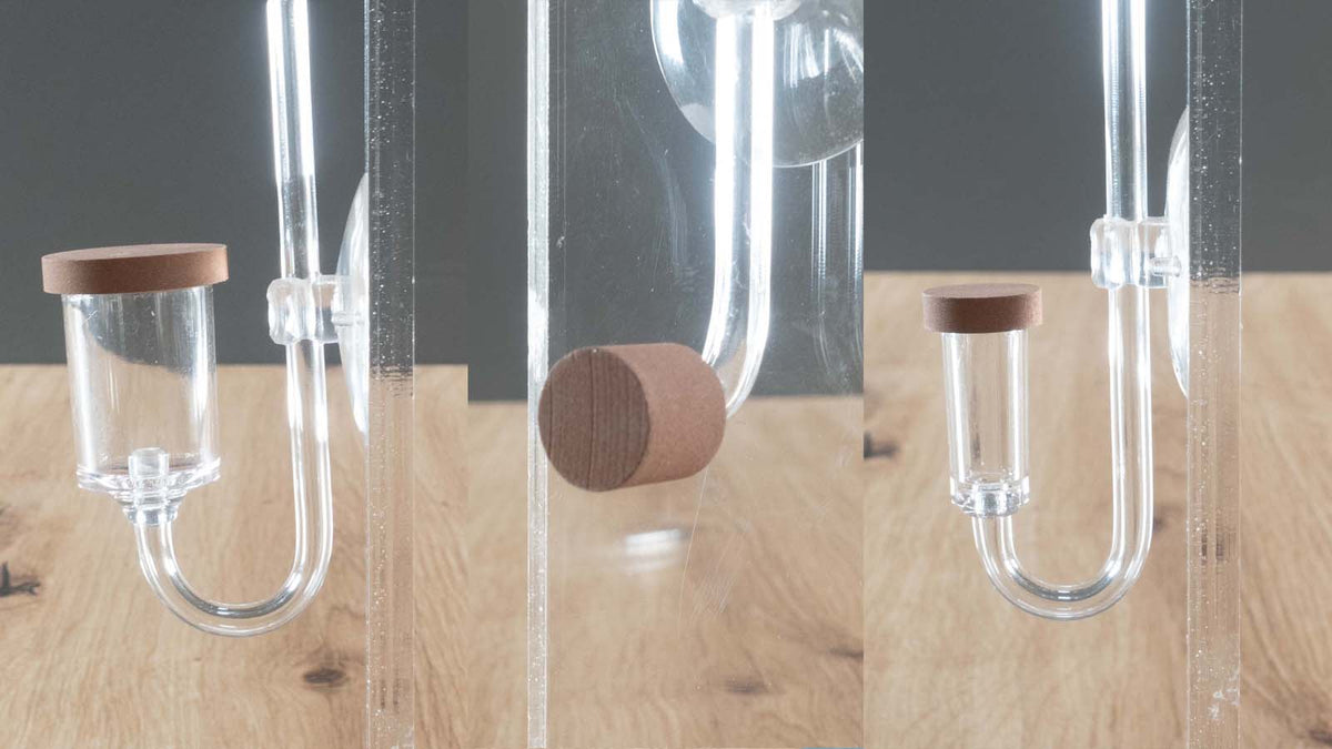 Welcher CO2-Diffusor passt zu meinem Aquarium?