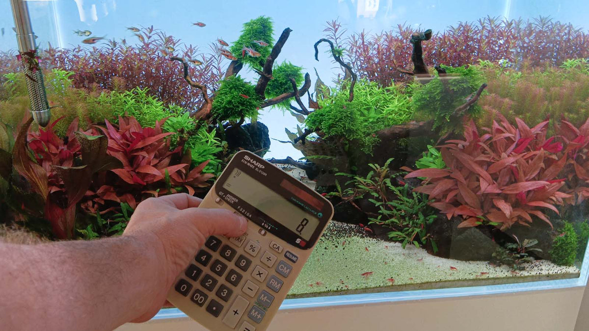 CO₂-Menge berechnen: Wie viel CO₂ braucht mein Aquarium?