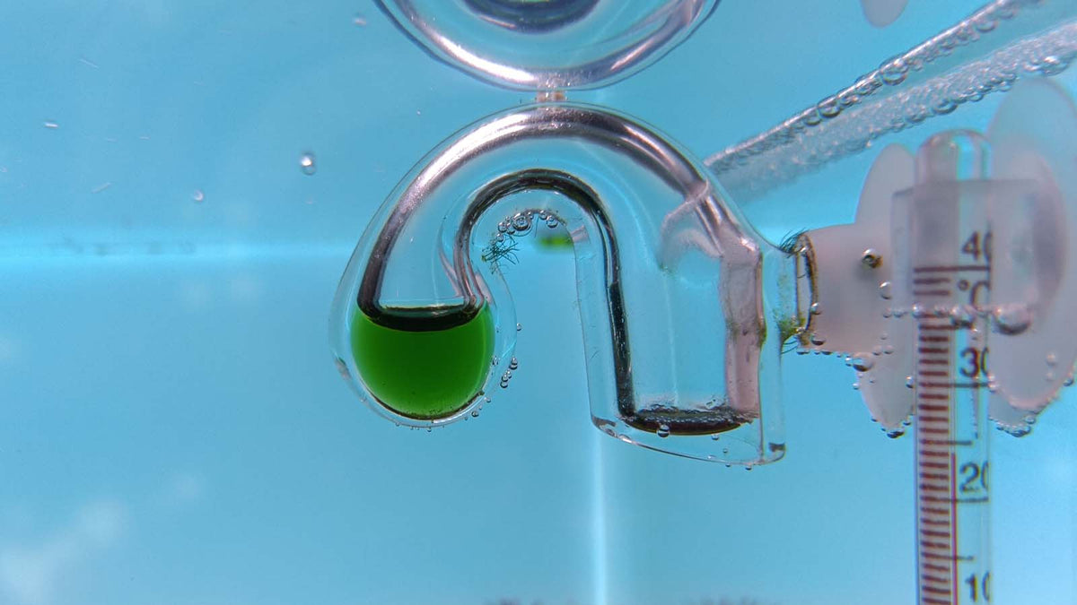 CO₂-Wert messen und kontrollieren mit dem Dauertest