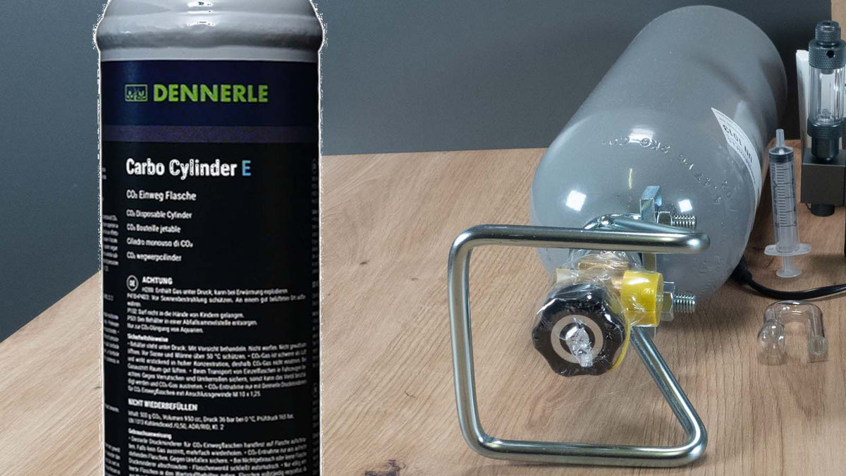 Einweg vs. Mehrweg CO₂-Flaschen: Kosten und Nachhaltigkeit