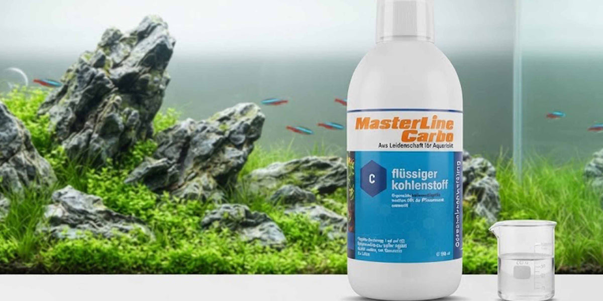 Aquarium mit gesunden Pflanzen ohne Algen dank MasterLine Carbo