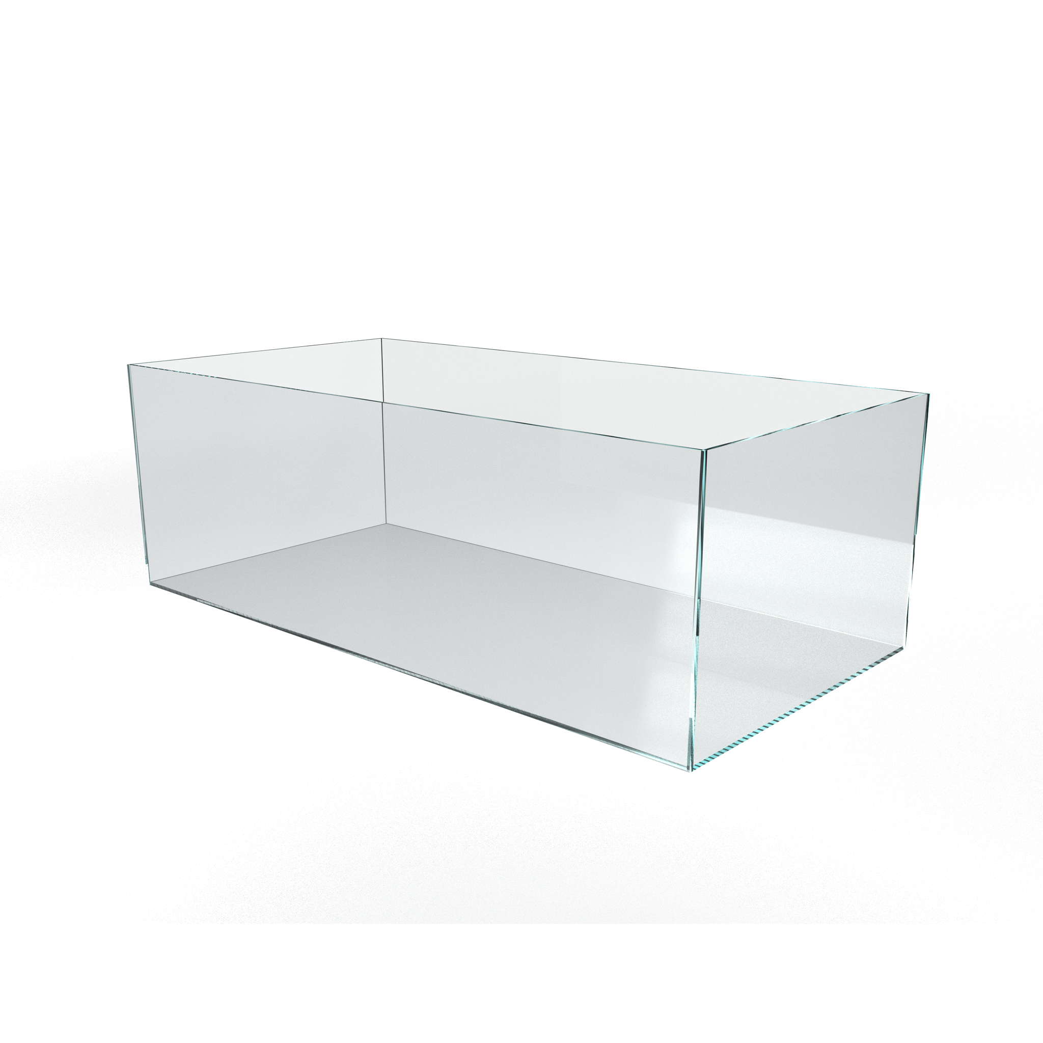Shallow Aquarium Tank 90F