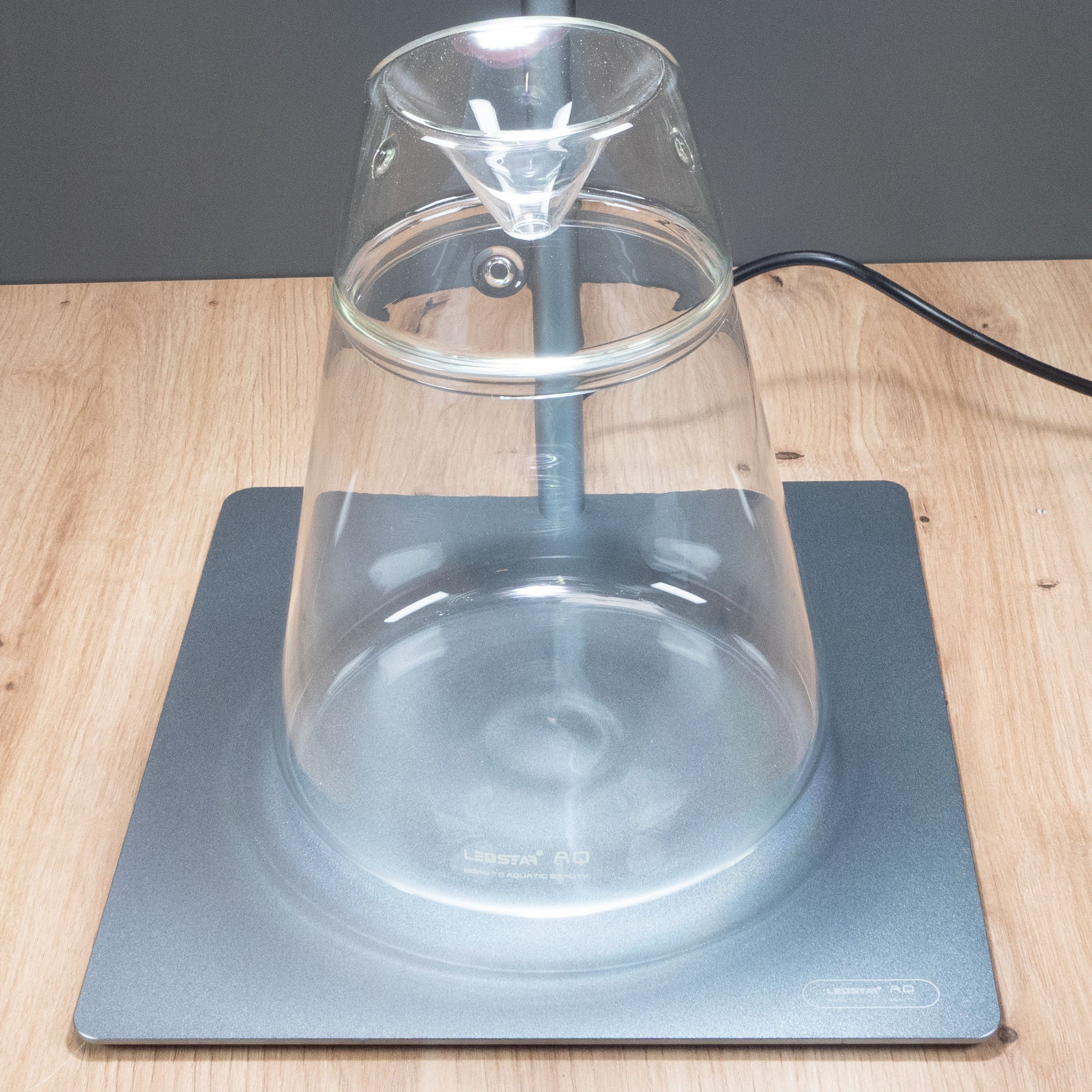 Ledstar_Dot_Wabikusa-Bottle-mit_Base