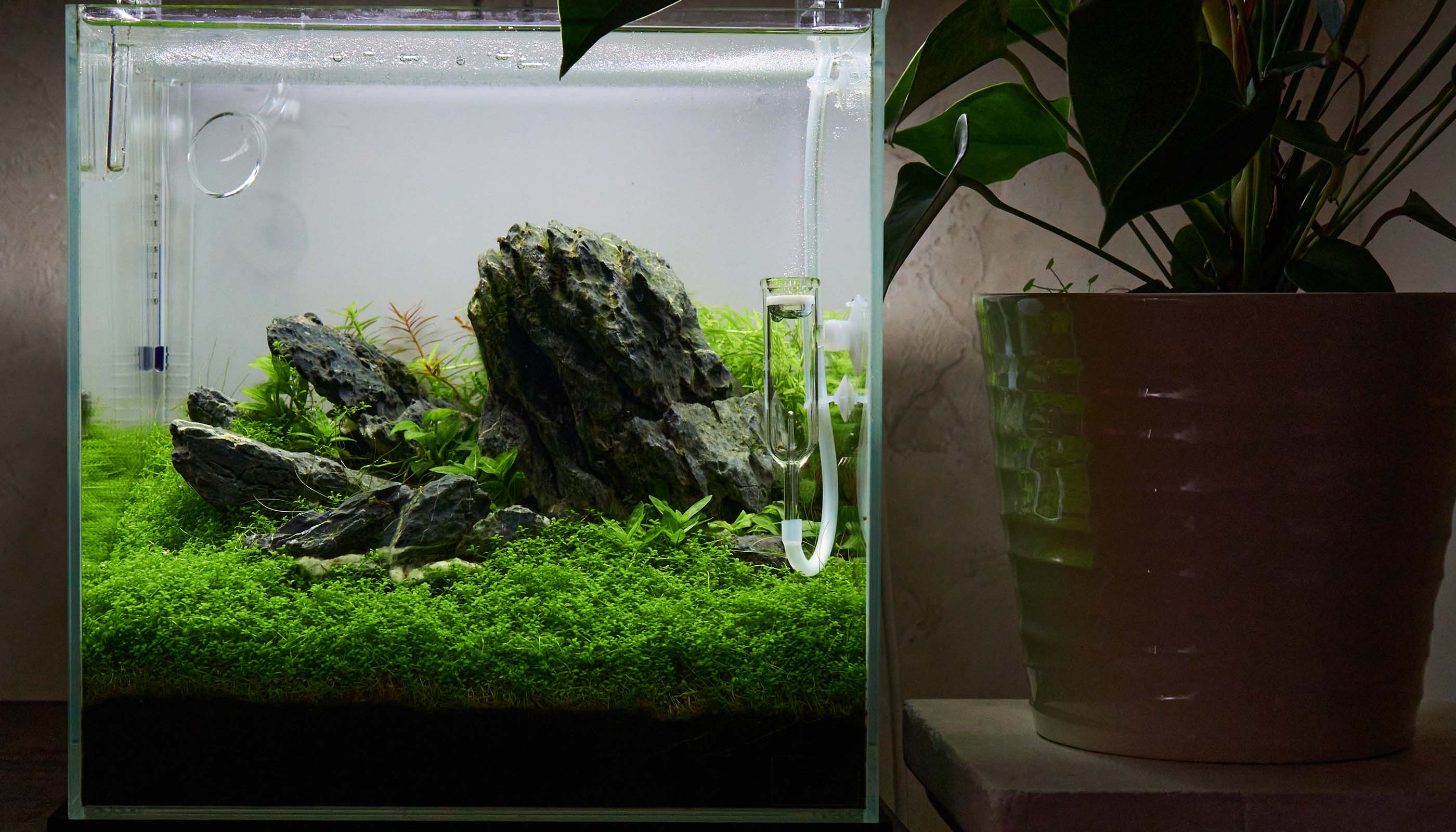 Nano-Aquarium-Aquarium-Kleines Aquarium