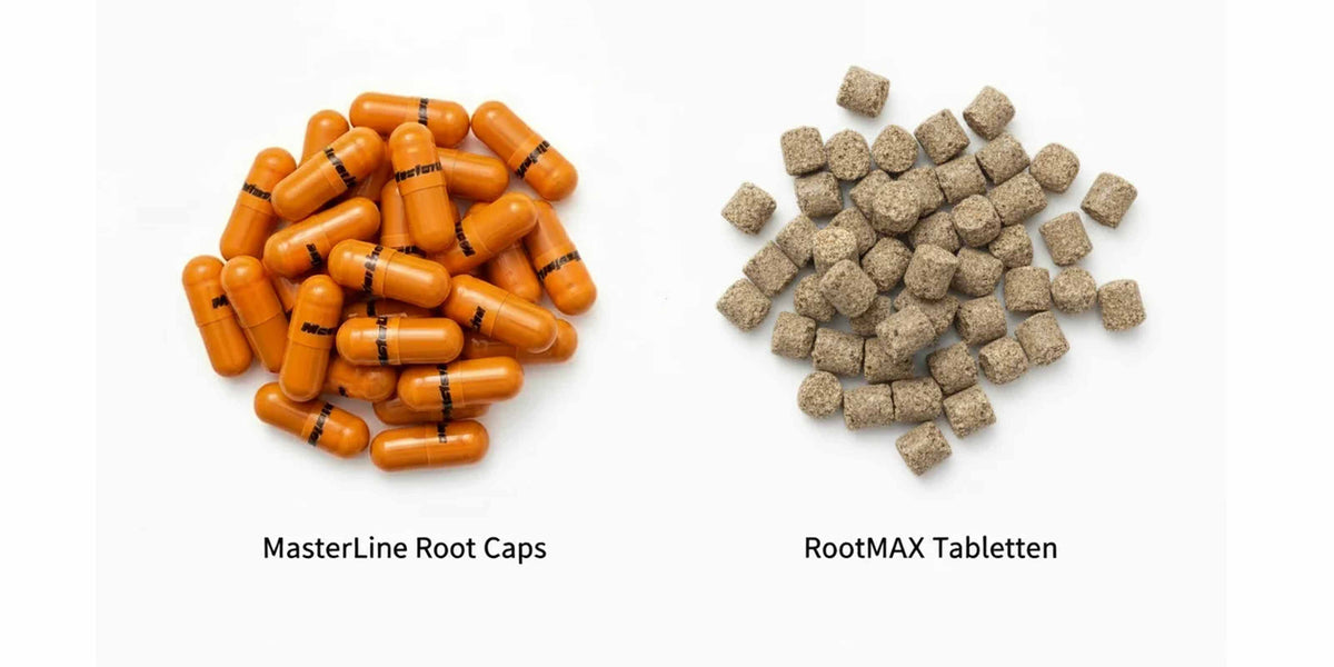 MasterLine Root Caps und RootMAX im Vergleich
