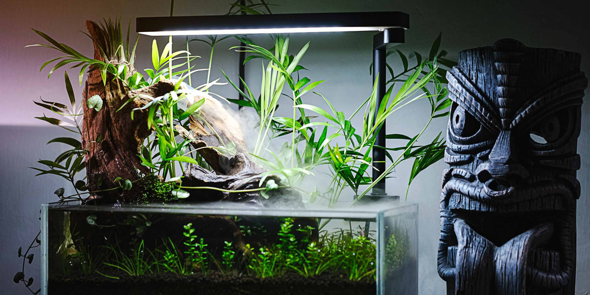 Gesund wachsende Aquarienpflanzen dank MasterLine 1+2