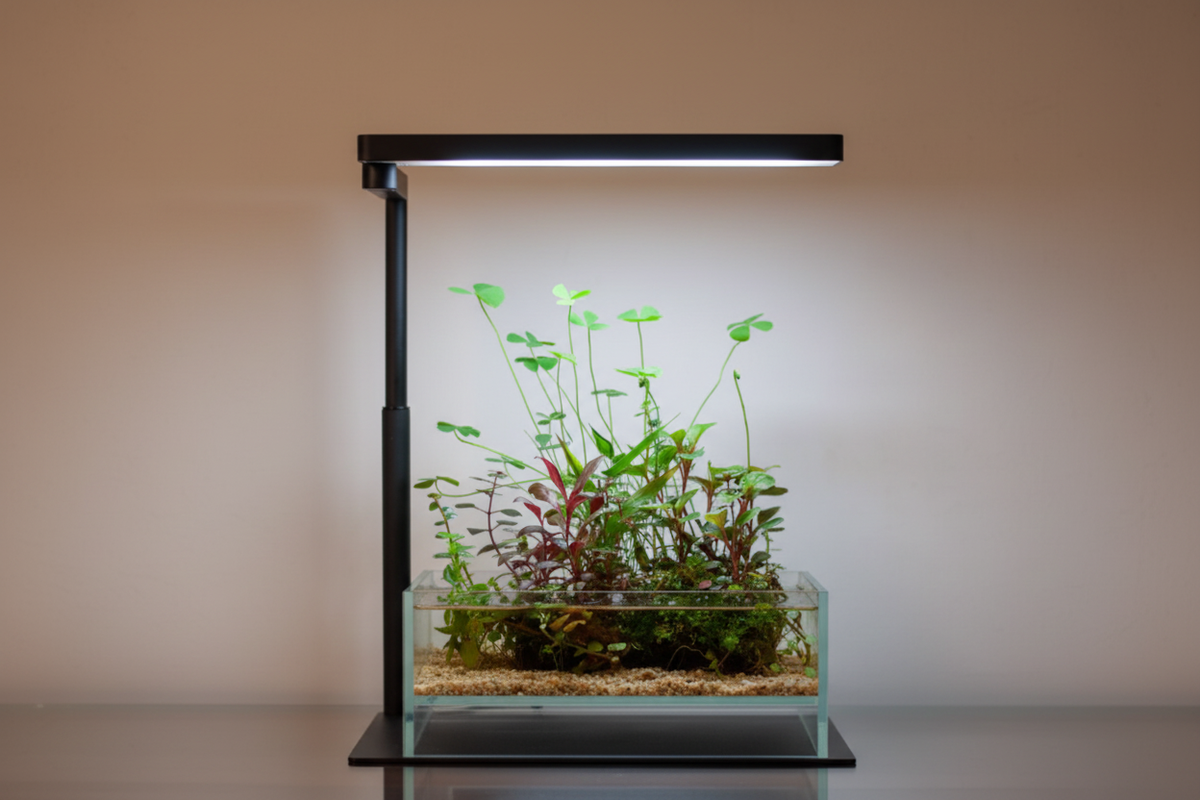 Warum WRGB-Beleuchtung den Unterschied macht