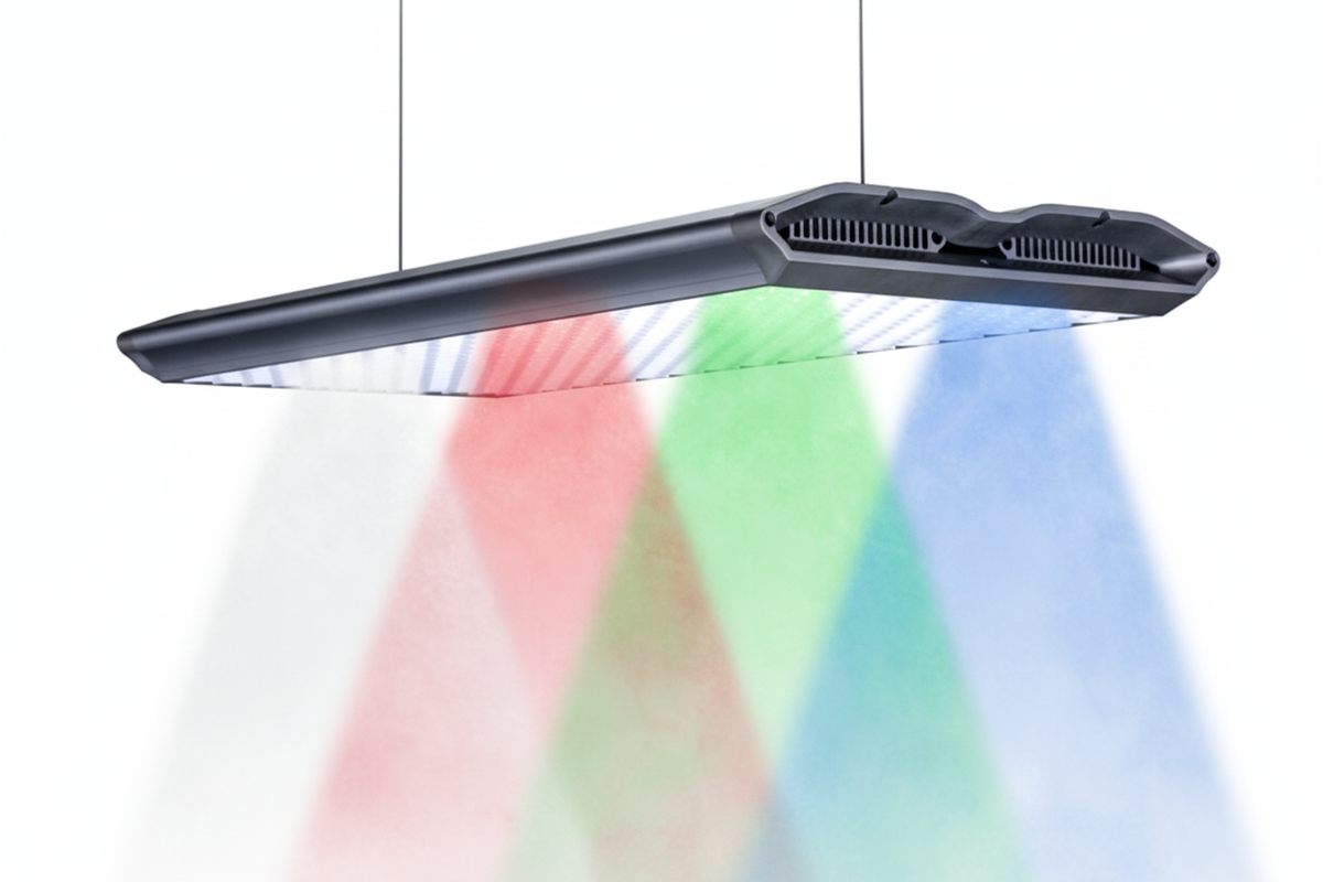 Was bedeutet WRGB? Die vier Kanäle im Detail