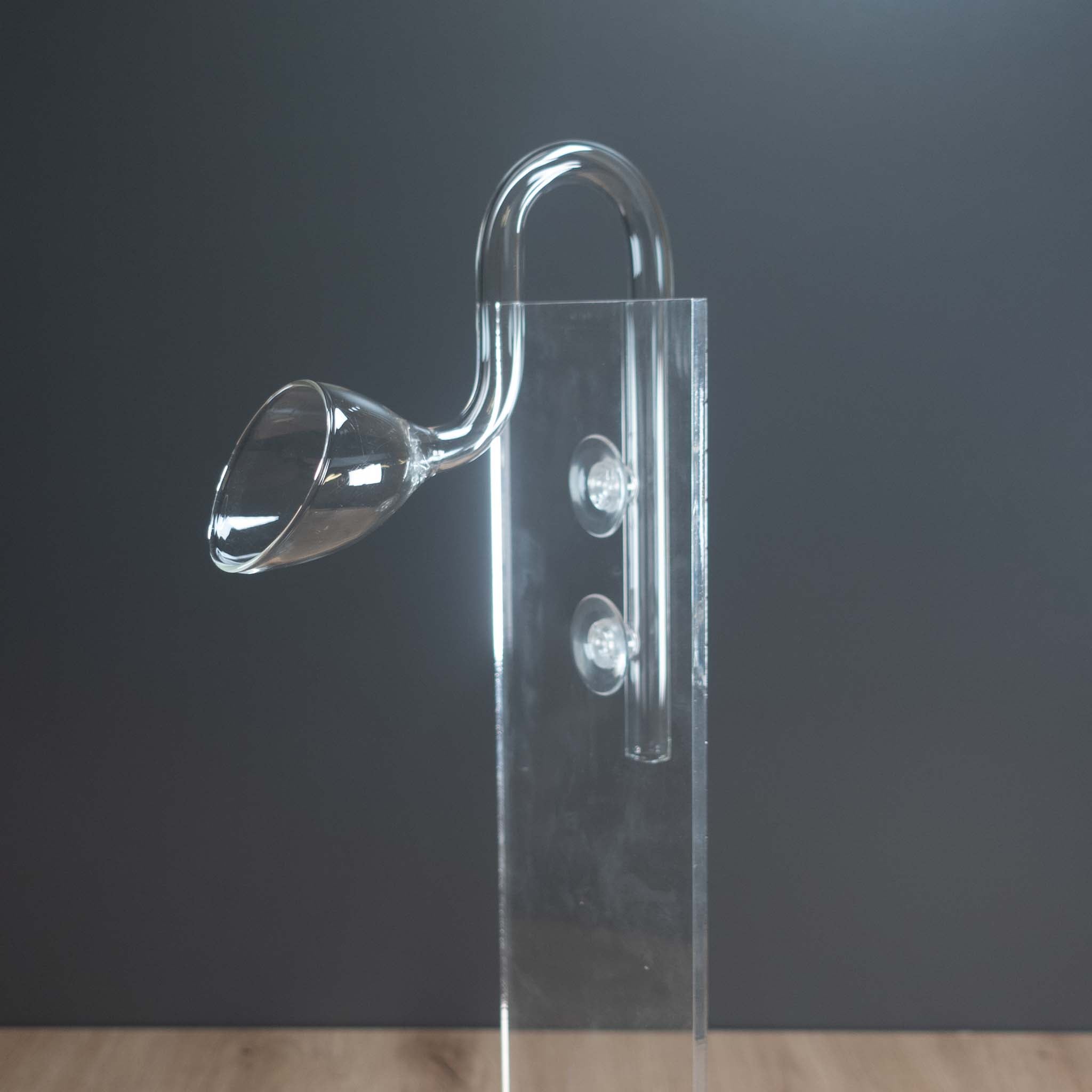 lily-pipe-aquarium